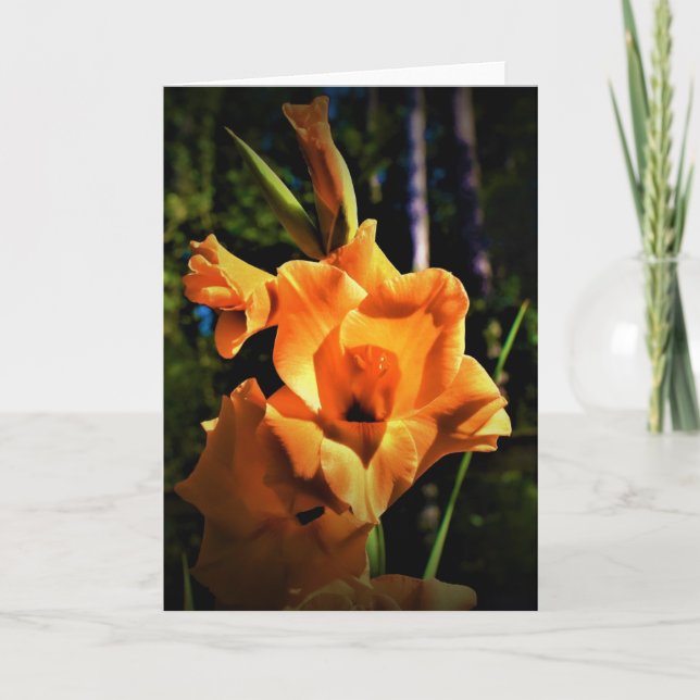 Gladioli, Karte (Vorderseite)