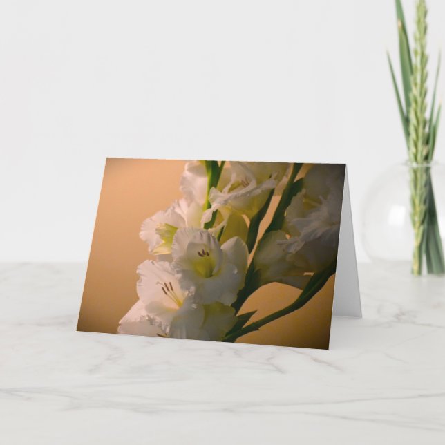 Gladioli, Karte (Vorderseite)