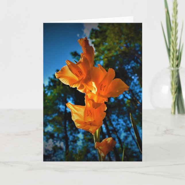 Gladioli, Karte (Vorderseite)