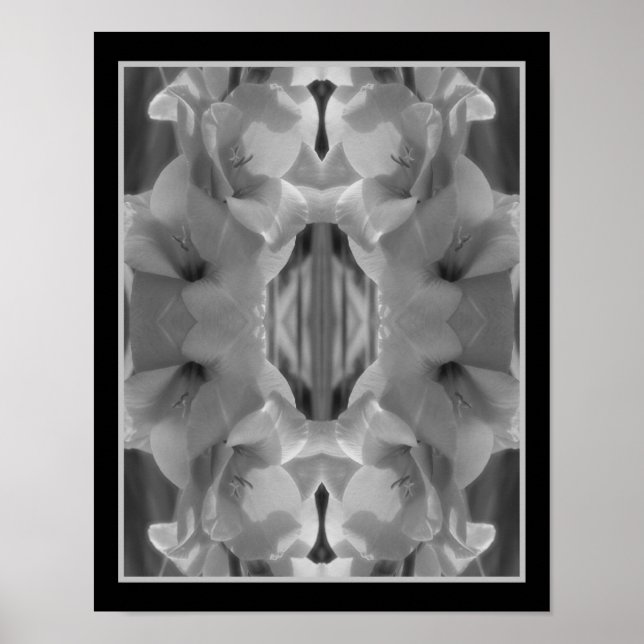 Gladiolus Blume Schwarz-Weiß Abstrakt Poster (Vorne)
