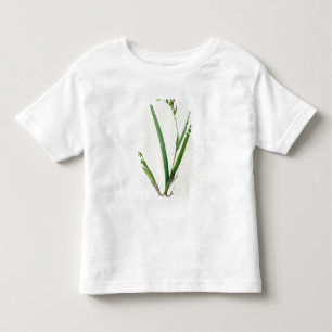 Gladiolus Cardinalis, von "Les Liliacees", 1805 Kleinkind T-shirt
