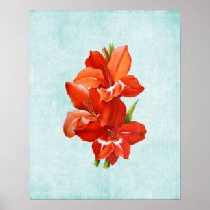 Gladiolus-Illustration auf gealtertem Denim Poster