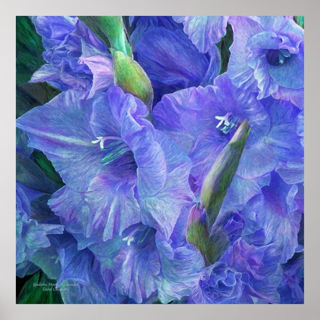 Gladiolus Moods - Lavender Art Poster/Print Poster (Vorne)