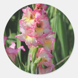 Gladiolus Runder Aufkleber