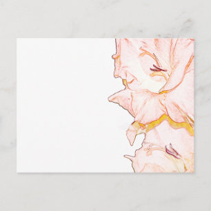 Gladiolusskizze Postkarte