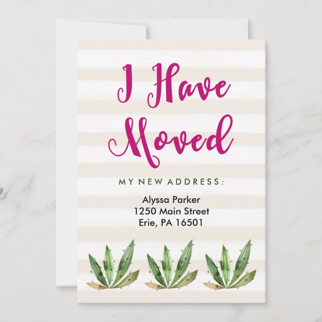 Glam Cactus | Wüstenstreifen Änderung der Anschrif Ankündigung (Vorderseite)