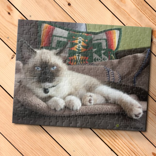 Glamour Blue Mit Augen Siamese Kitten Fotografie Puzzle (Von Creator hochgeladen)