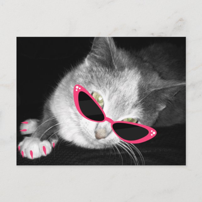 Glamour Cat Geburtstagsparty Postcard Einladung (Vorderseite)