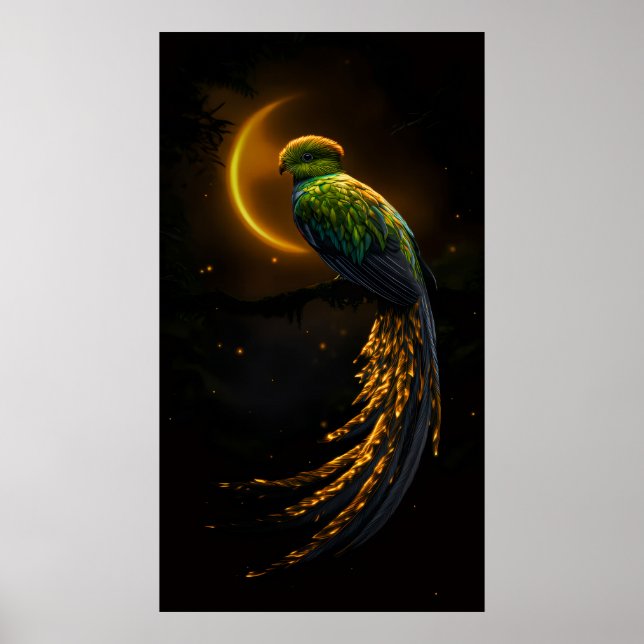 Glanz der Nachtfeder Poster (Vorne)