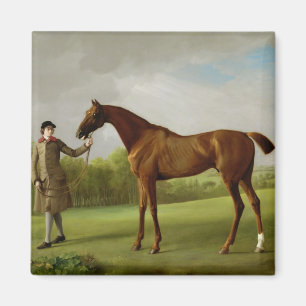 Glanz Georges Stubbs  , gehalten von einem Magnet