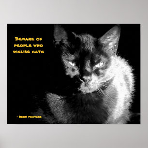 Glänzende schwarze Katze mit Sprichwort Poster