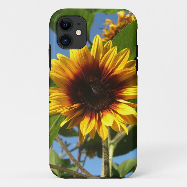 Glänzender Sonnenblume iPhone Fall Case-Mate iPhone Hülle (Rückseite)