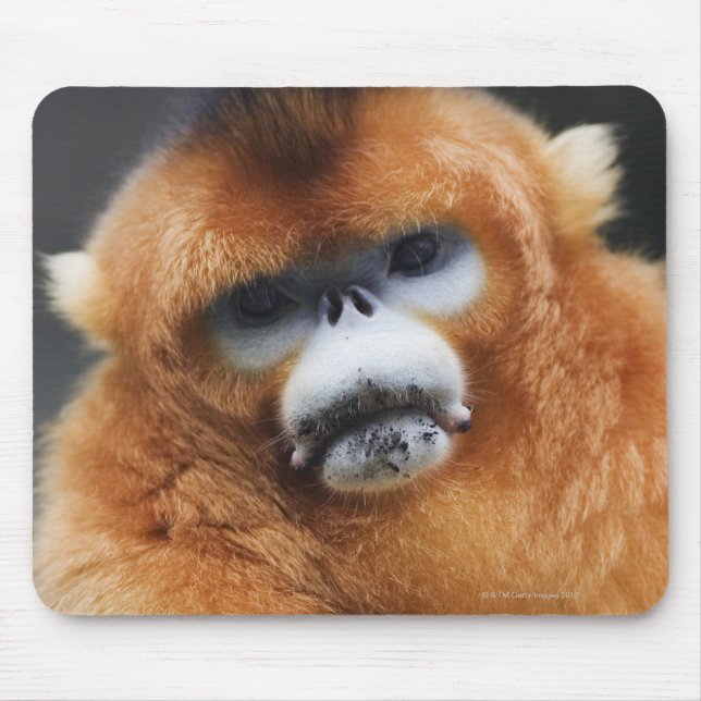 Glanzgebirge Mousepad (Vorne)