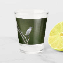 Glas aigrette garzette