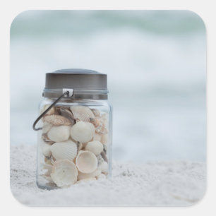 Glas Seashells auf dem Strand Florida Quadratischer Aufkleber