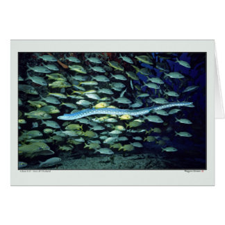 Glasaal - Meer von Thailand