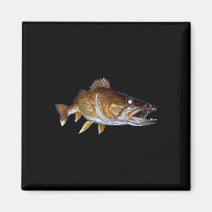 Glasaugenbarsch Fisch Kunst Glasaugenbarsch Angeln Magnet
