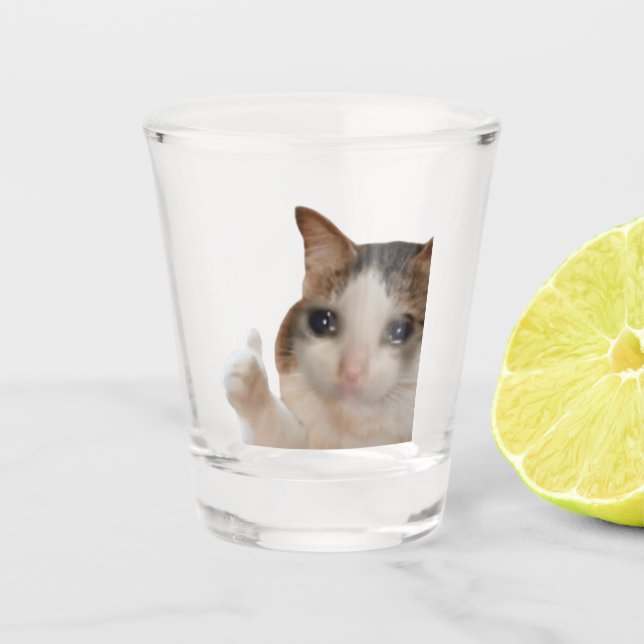 Gläser in die Ok Cat Meme (Vorderseite)