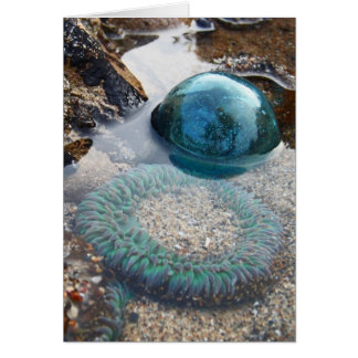 Glasfloat und Anemon