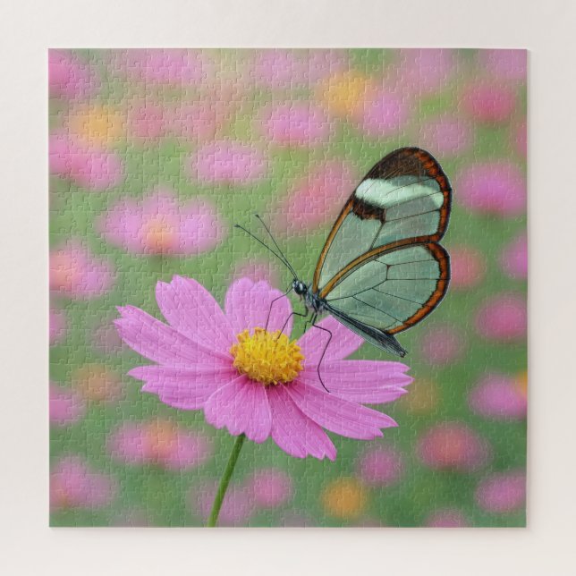 Glasflügelschmetterling auf einer Cosmos-Blume Puzzle (Vertikal)