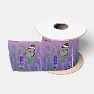 Glasflügelschmetterling auf einer Lavendelblüte Satinband
