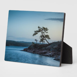 Glaskogen Schweden Fotoplatte