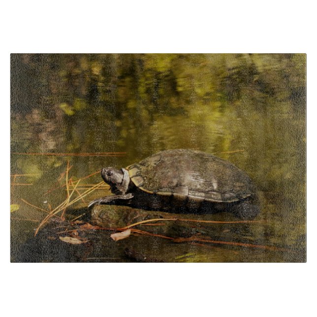 Glass Cutting Board - Schildkröte im Teich Schneidebrett (Vorderseite)