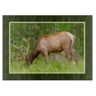 Glass Kitchen Cutting Board - Yellowstone Elch Schneidebrett