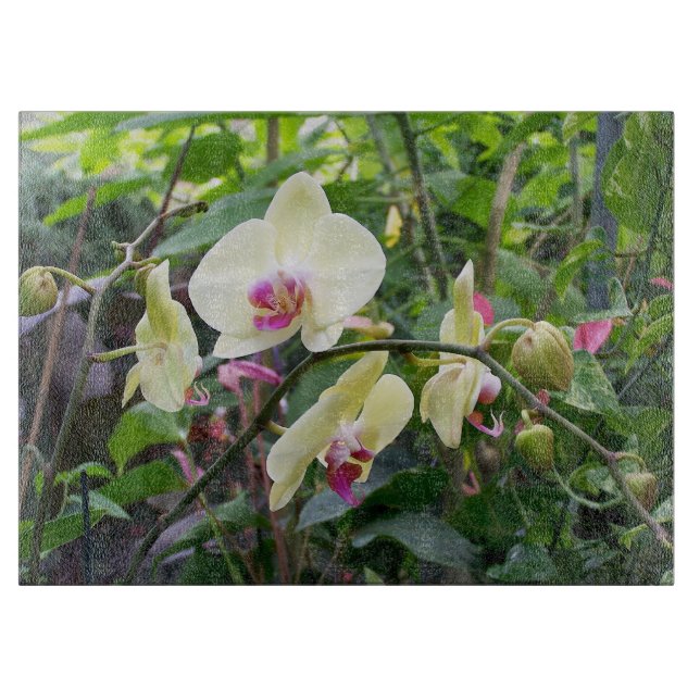 Glassschneiden Schneidebrett (Vorderseite)