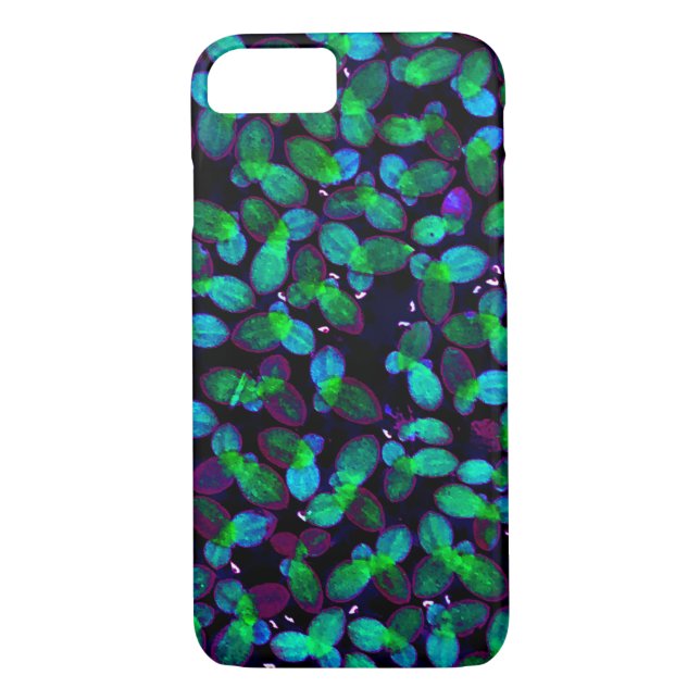 Glastige Duckweed Case-Mate iPhone Hülle (Rückseite)