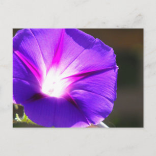 Glastige Herzpostkarte Postkarte