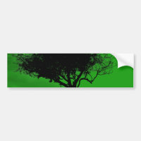 Glastonbury Weißdorn. Baum auf Hügel. Grünes