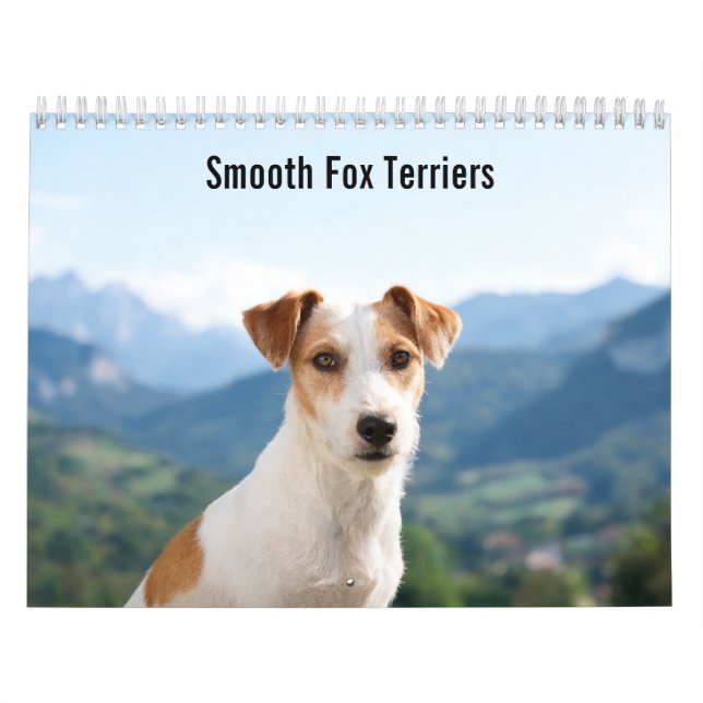Glatt Fox Terrier 2027 Wandkalender (Titelbild)