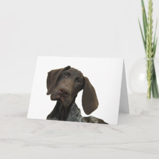 Glatte Graubär-Gruß-Karte Karte