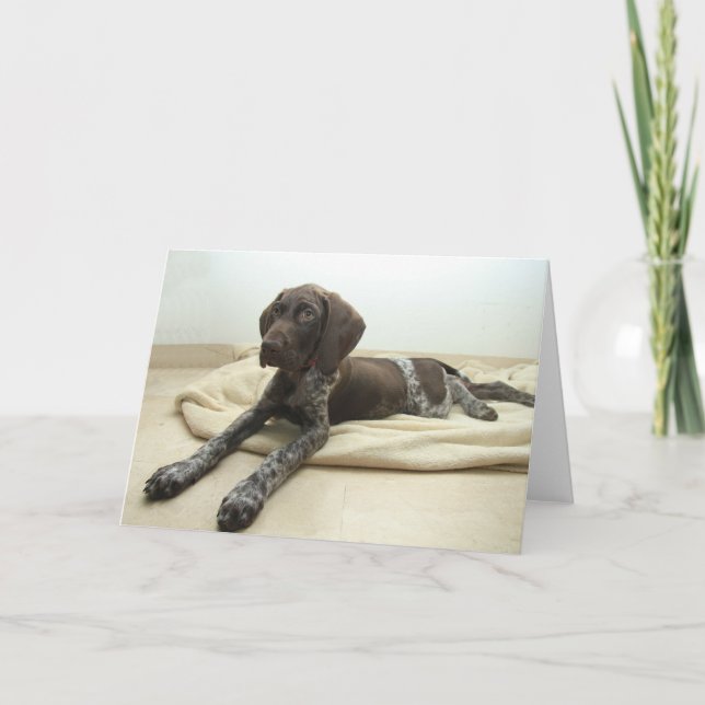 Glatte Graubär-Gruß-Karte Karte (Vorderseite)