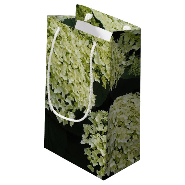 Glatte Hortensie Kleine Geschenktüte (Rückseite Schrägansicht)
