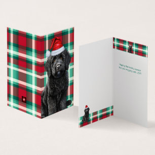 Glätte Labradoodle Urlaub Karierte Weihnachtskarte