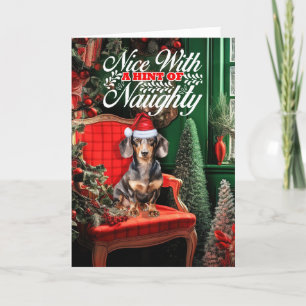 Glatter Coat Dackel Weihnachten Hund Naughty Nice