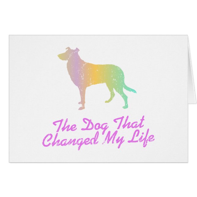 Glatter Collie (Vorderseite (Horizontal))