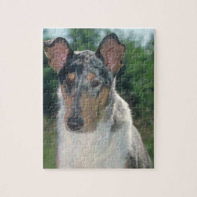 Glattes Collie Merle Hundepuzzlespiel Puzzle (Vertikal)
