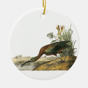 Glattes IBIS, John Audubon Keramik Ornament