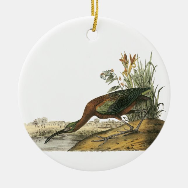 Glattes IBIS, John Audubon Keramik Ornament (Vorne)
