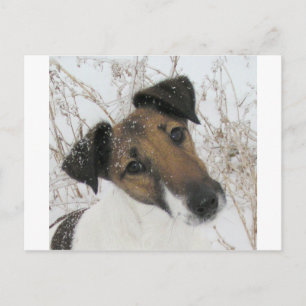 Glattleder Postkarte