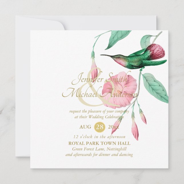 Glattrosa Hummingbird Blume (Vorderseite)