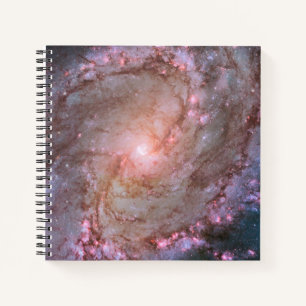 Glattspirale Galaxy Messier 83. Notizbuch