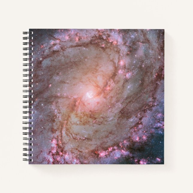 Glattspirale Galaxy Messier 83. Notizbuch (Vorderseite)