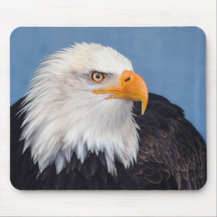 Glatzenadler, Habicht, Raptor Mousepad