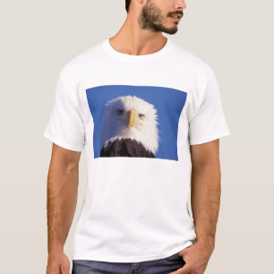 Glatzenadler, Haliäetus leucocephalus, Kopfschuss, T-Shirt