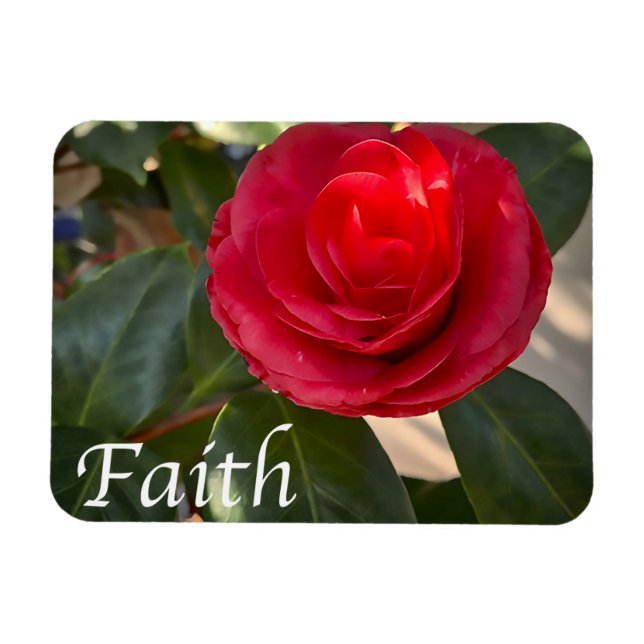 Glaube - Red Camellia Bloom Magnet (Horizontal)