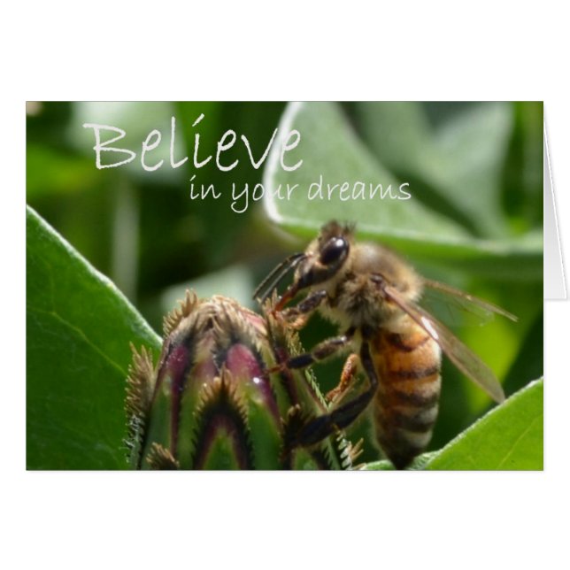 Glauben Sie an Ihre Träume (Vorderseite (Horizontal))